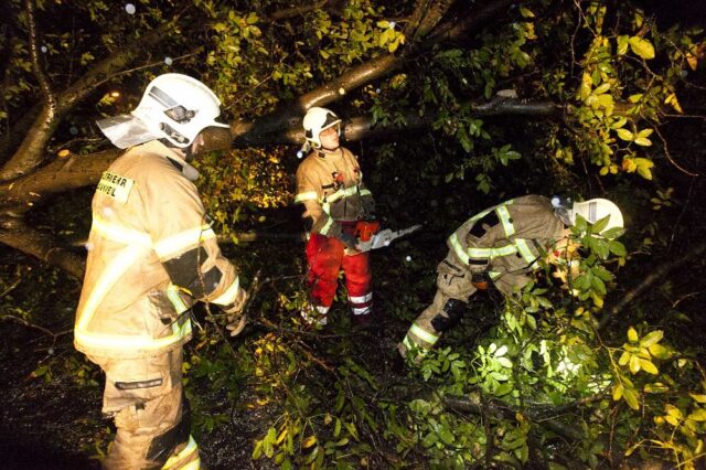 081 - Brederis, Felberweg 4 - Baum verlegt Straße