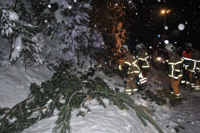 107 - L73, Übersaxnerstraße - Baum auf Straße gestürzt