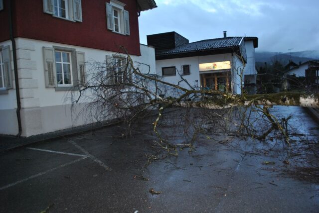 Einsatz 019 - Bahnhofstraße - Baum über Zufahrt gestürzt