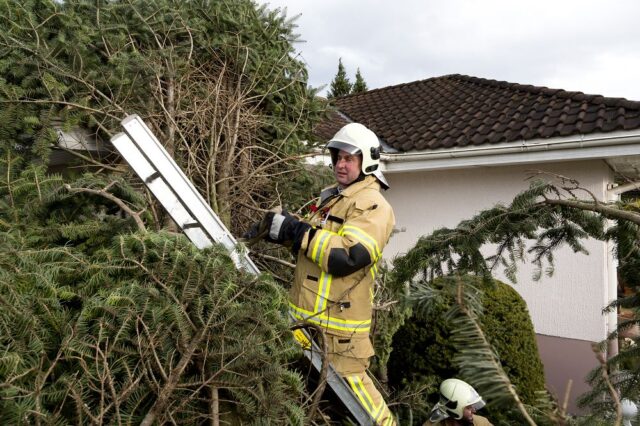 Einsatz 113 - Brederis, Madlenerweg - Baum auf Haus gestürzt