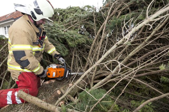 Einsatz 114 - Brederis, Madlenerweg - Baum umgestürzt