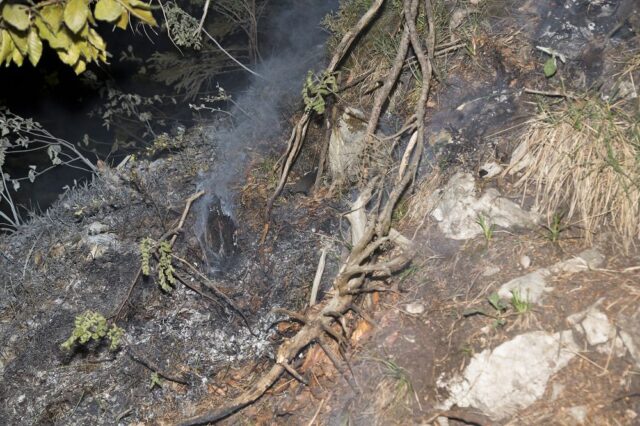 Einsatz 063 - Götzis, Kapf - Brandentwicklung, beginnender Waldbrand