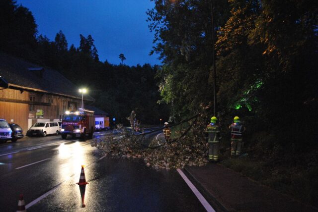 Einsatz 069 - Walgaustraße - Baum hängt in Straße