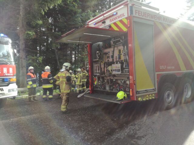 Einsatz 073 - Dünserberg, Winkel - Waldbrand, GTLF wird benötigt