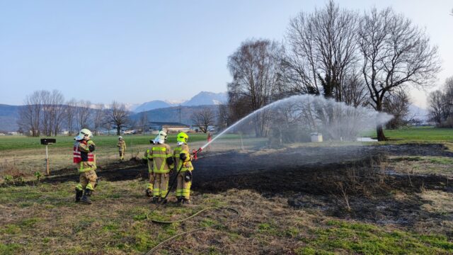 Einsatz 021 - L52/Meininger Straße - Flächenbrand