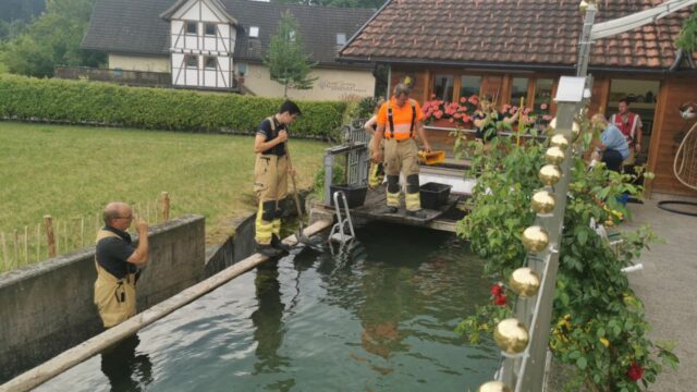 Einsatz 070 - Neuburgstraße, Mühlbach - Gewässerverunreinigung