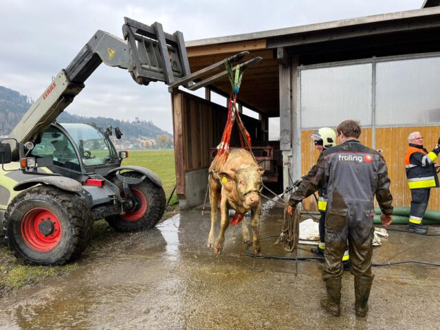 Einsatz 024 - Feldkirch Tosters, Straßbergweg - Großtierrettungsgehänge wird benötigt