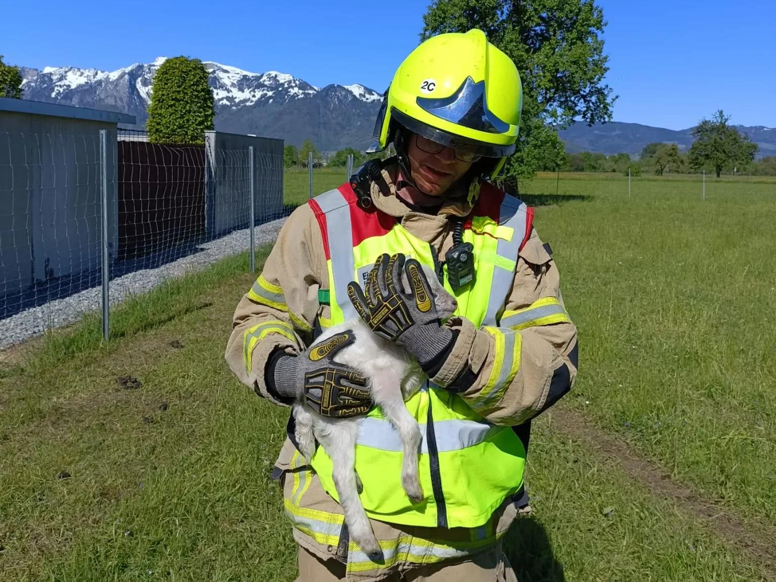 Einsatz 044 – Leinenweg – Tierrettung, junges Schaf steckt fest