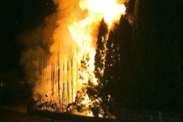 Einsatz 150 - Wüstenrotgasse - Heckenbrand