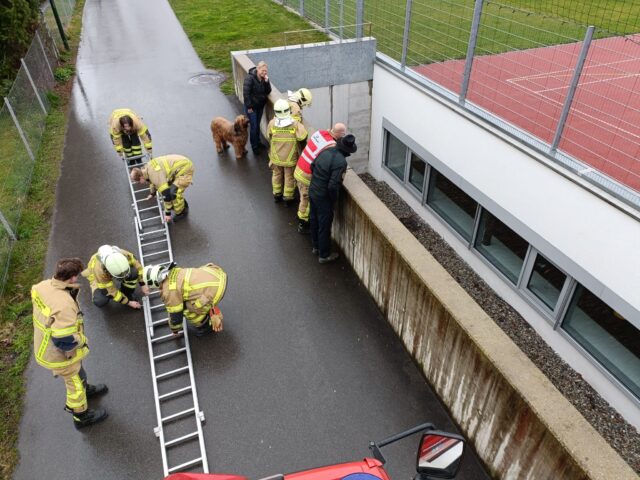 Einsatz 028 - Michl-Rheinberger-Straße 8, Mittelschule - Tierrettung