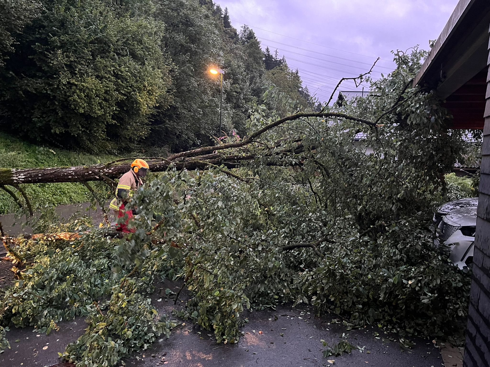 Einsatz 170 – Loger – Baum verlegt Straße