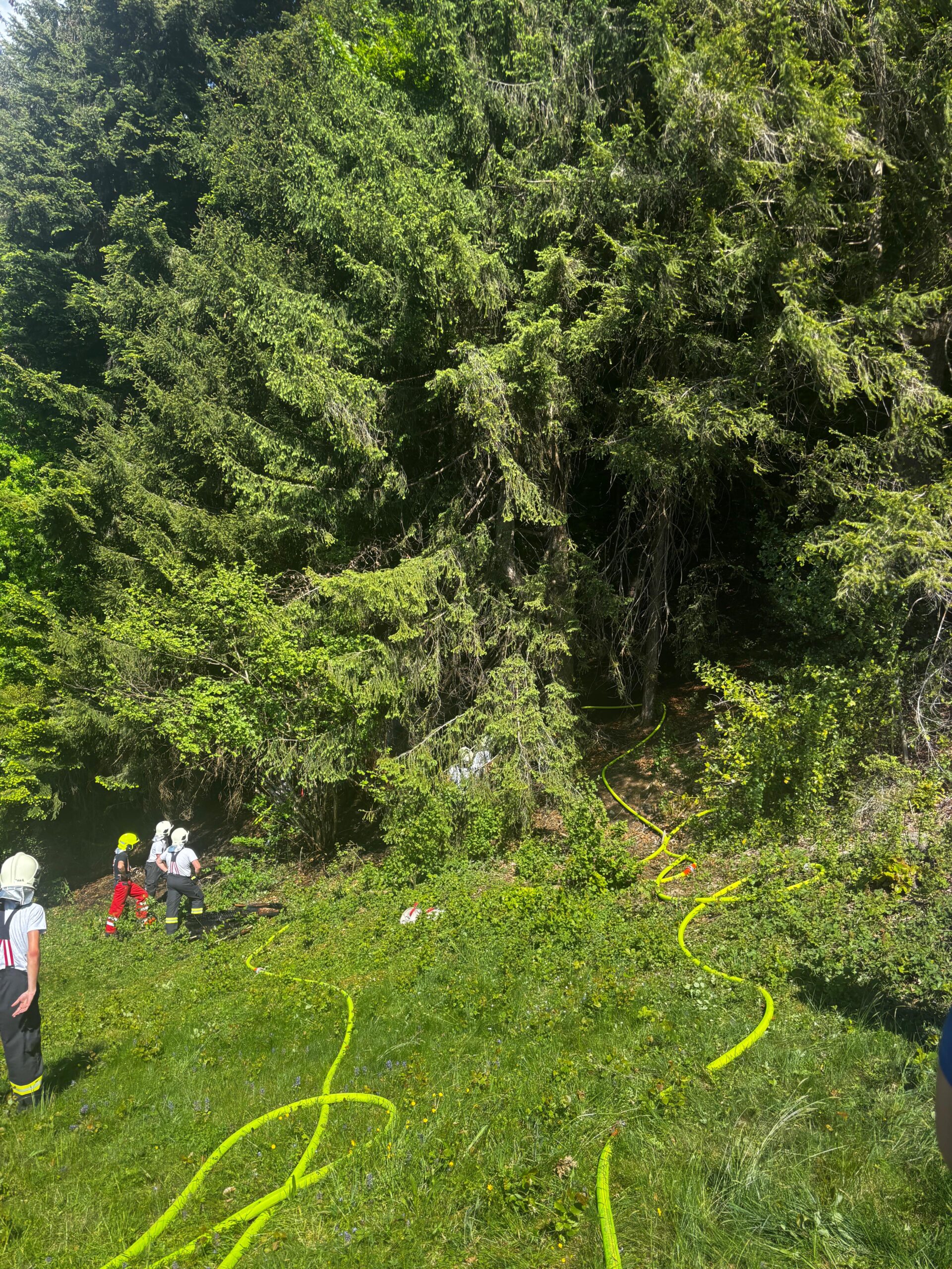 Einsatz 042 – Zwischenwasser, Grätscha – beginnender Waldbrand